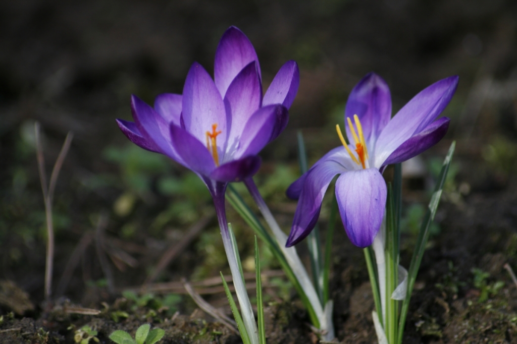 25.Februar 2008
